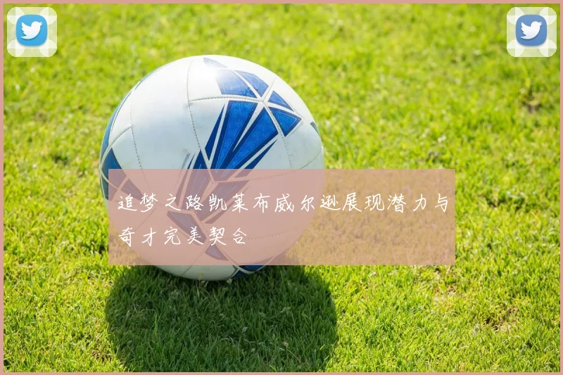 追梦之路凯莱布威尔逊展现潜力与奇才完美契合